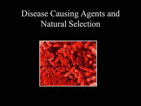 Disease Causing Agents and Natural Selection