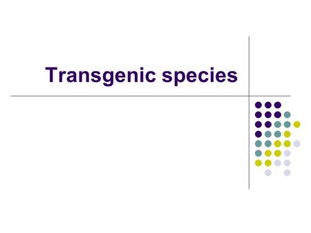 Transgenic species. Transgenic series and how are they produced Transgenic species are organisms which have had genetic material from a different species.