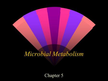 Microbial Metabolism Chapter 5. Metabolism - all of the chemical reactions within a living organism w 1. Catabolism ( Catabolic ) breakdown of complex.