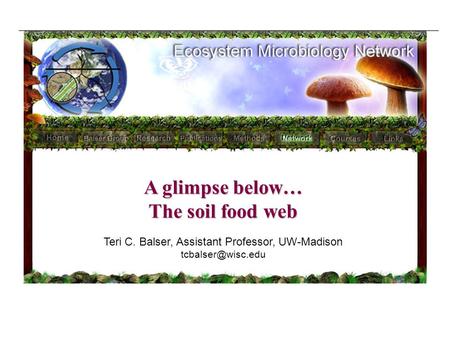A glimpse below… The soil food web Teri C. Balser, Assistant Professor, UW-Madison