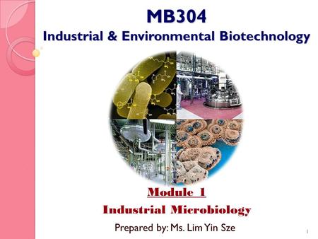 MB304 Industrial & Environmental Biotechnology Module 1 Industrial Microbiology 1 Prepared by: Ms. Lim Yin Sze.
