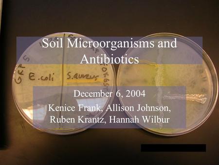 Soil Microorganisms and Antibiotics December 6, 2004 Kenice Frank, Allison Johnson, Ruben Krantz, Hannah Wilbur.