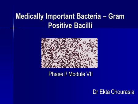 Medically Important Bacteria – Gram Positive Bacilli Phase I/ Module VII Dr Ekta Chourasia.