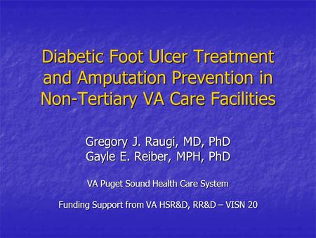 Diabetic Foot Ulcer Treatment and Amputation Prevention in Non-Tertiary VA Care Facilities Gregory J. Raugi, MD, PhD Gayle E. Reiber, MPH, PhD VA Puget.