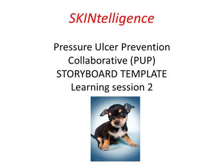 Pressure Ulcer Prevention (PUP) Collaborative Programme February 2014 – December 2014 SKINtelligence Pressure Ulcer Prevention Collaborative (PUP) STORYBOARD.