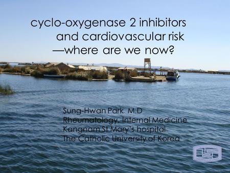 Cyclo-oxygenase 2 inhibitors and cardiovascular risk —where are we now? Sung-Hwan Park M.D Rheumatology, Internal Medicine Kangnam St Mary’s hospital The.
