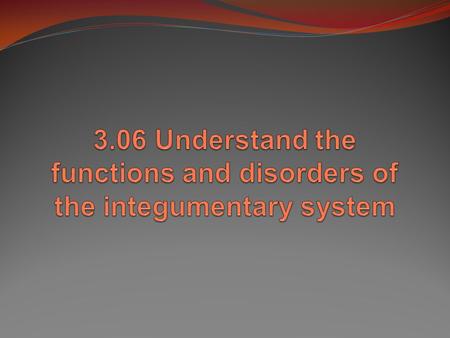 powerpoint presentation about integumentary system