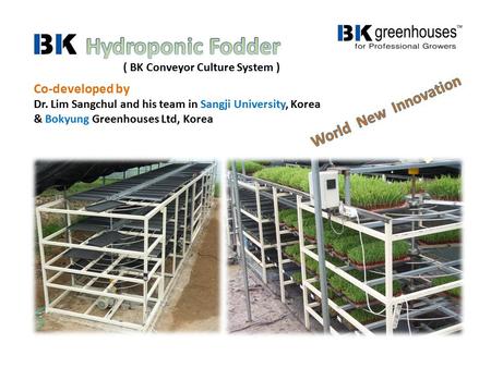 Co-developed by Dr. Lim Sangchul and his team in Sangji University, Korea & Bokyung Greenhouses Ltd, Korea ( BK Conveyor Culture System )