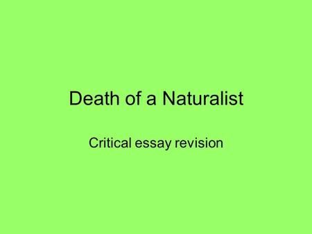 Critical essay revision