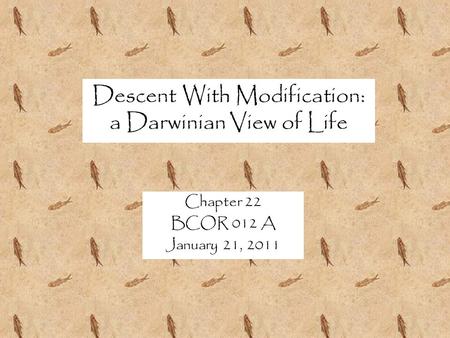 Descent With Modification: a Darwinian View of Life Chapter 22 BCOR 012 A January 21, 2011.