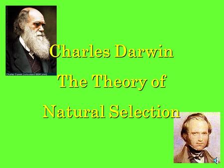 Charles Darwin The Theory of Natural Selection.