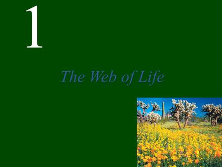 The Web of Life.