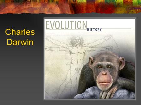 Charles Darwin. 1809 - 1882 Most influential contributor to thoughts about evolution The Origin of Species 1859 Presented evidence for changes in species.