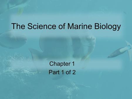 The Science of Marine Biology