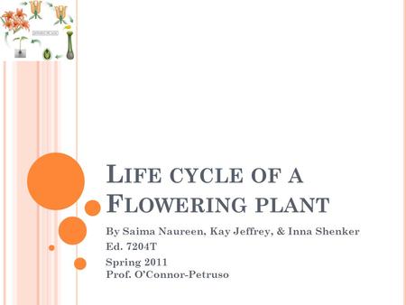 L IFE CYCLE OF A F LOWERING PLANT By Saima Naureen, Kay Jeffrey, & Inna Shenker Ed. 7204T Spring 2011 Prof. O’Connor-Petruso.