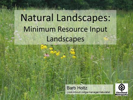 Natural Landscapes: Minimum Resource Input Landscapes Barb Holtz Look About Lodge manager/naturalist.