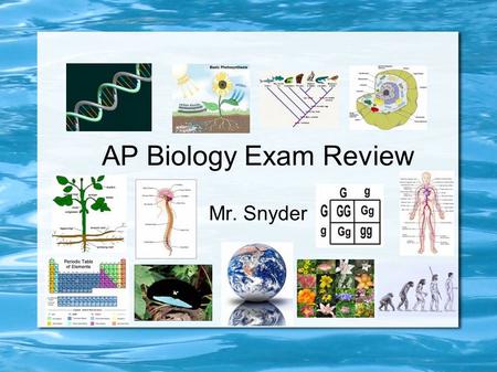 AP Biology Exam Review Mr. Snyder. AP / College Biology A typical introductory college biology course fails 50% of its students As such the AP Bio test.