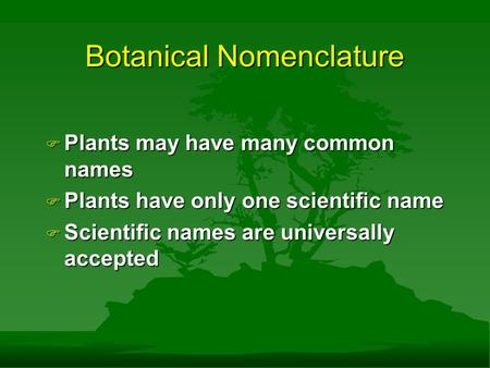 Botanical Nomenclature F Plants may have many common names F Plants have only one scientific name F Scientific names are universally accepted.