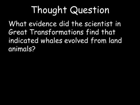 Thought Question What evidence did the scientist in Great Transformations find that indicated whales evolved from land animals?