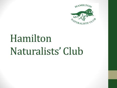 Hamilton Naturalists’ Club. Naturalist A person who specializes in natural history, especially in the study of plants and animals in their natural surroundings.