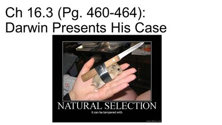 Ch 16.3 (Pg ): Darwin Presents His Case