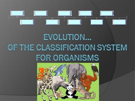 The History of Classification Out of this concept was developed the scale of nature idea that suggested living things were arranged on a scale of perfection,