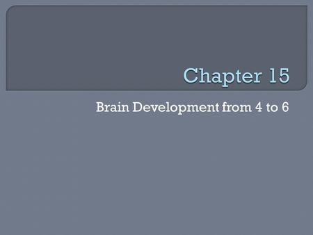 Brain Development from 4 to 6. Brain Development 4 to 6.