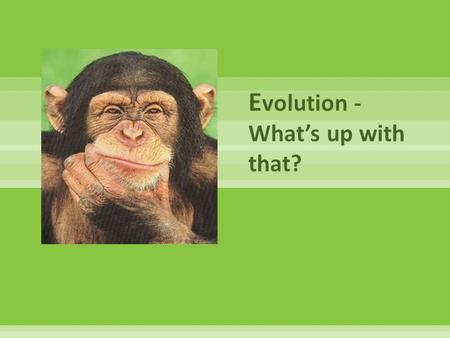 Evolution - What’s up with that?