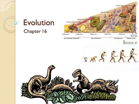 Evolution Chapter 16.