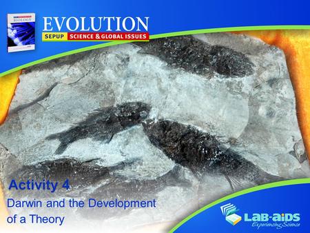 Darwin and the Development of a Theory. Activity 4: Darwin and the Development of a Theory LIMITED LICENSE TO MODIFY. These PowerPoint® slides may be.