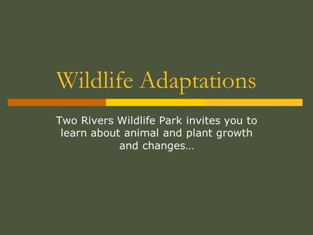 Wildlife Adaptations Two Rivers Wildlife Park invites you to learn about animal and plant growth and changes…