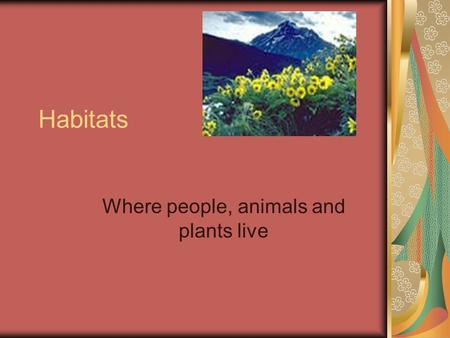 Habitats Where people, animals and plants live Deserts Desert habitats are very dry. They are full of animals and plants who need very little water.