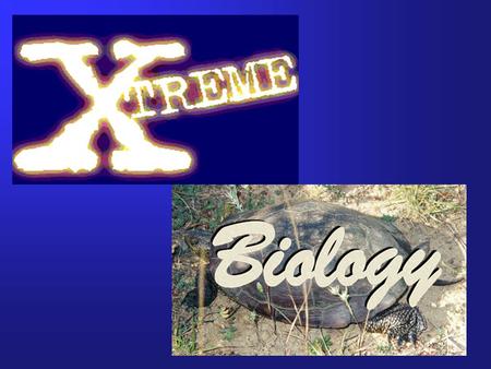 Topics:  Types of extreme environments present on Earth  Adaptations to cell structures required for survival in extreme environments  Residents of.