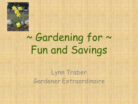 ~ Gardening for ~ Fun and Savings Lynn Traber Gardener Extraordinaire.