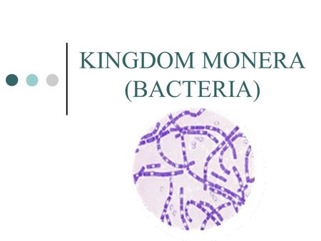 KINGDOM MONERA (BACTERIA). What makes this kingdom unique?  Most abundant organisms on Earth  Outnumber all other organisms combined  More in a handful.