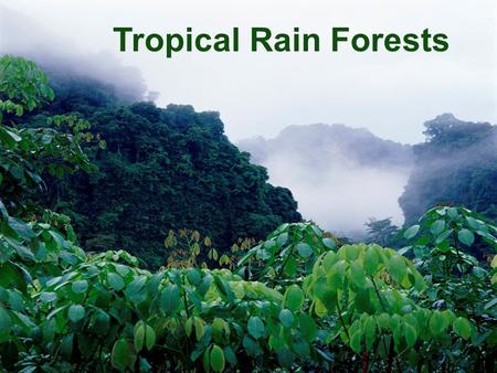 Tropical Rain Forests What are they? Where are they? How are they structured? What plants and animals live there?