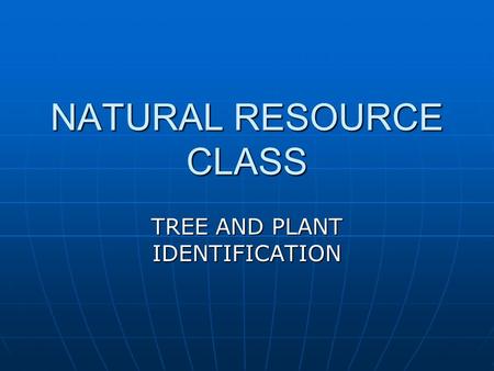 NATURAL RESOURCE CLASS TREE AND PLANT IDENTIFICATION.