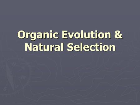 Organic Evolution & Natural Selection. Organic Evolution ► changes in life through time ► development of complex life forms ► development of a variety.