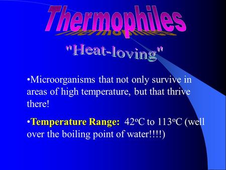 Microorganisms that not only survive in areas of high temperature, but that thrive there! Temperature Range:Temperature Range: 42 o C to 113 o C (well.