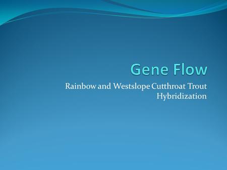 Rainbow and Westslope Cutthroat Trout Hybridization.