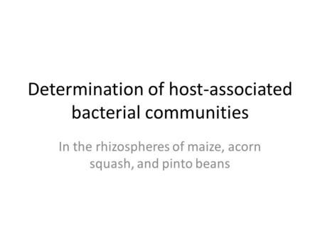 Determination of host-associated bacterial communities In the rhizospheres of maize, acorn squash, and pinto beans.