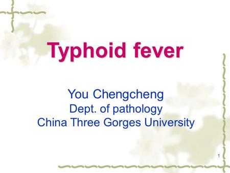 1 Typhoid fever You Chengcheng Dept. of pathology China Three Gorges University.