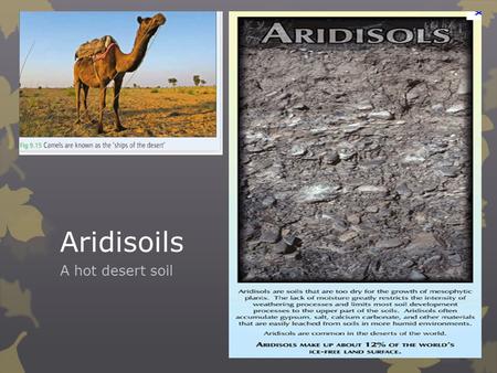Aridisoils A hot desert soil.