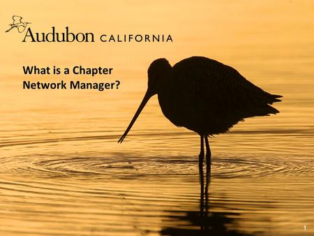 What is a Chapter Network Manager? 1. Audubon California’s vision is that bird populations will thrive in the future, together with all Californians.