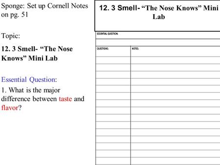 Sponge: Set up Cornell Notes on pg. 51 Topic: 12. 3 Smell- “The Nose Knows” Mini Lab Essential Question: 1. What is the major difference between taste.