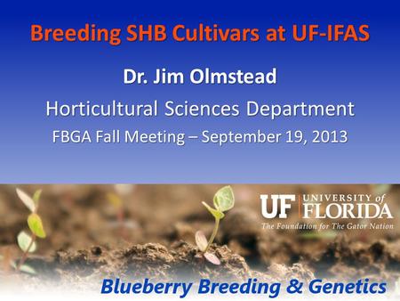 Breeding SHB Cultivars at UF-IFAS Dr. Jim Olmstead Horticultural Sciences Department FBGA Fall Meeting – September 19, 2013.