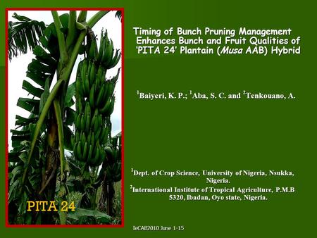 IeCAB2010 June 1-15 Timing of Bunch Pruning Management Enhances Bunch and Fruit Qualities of ‘PITA 24’ Plantain (Musa AAB) Hybrid 1 Baiyeri, K. P.; 1 Aba,