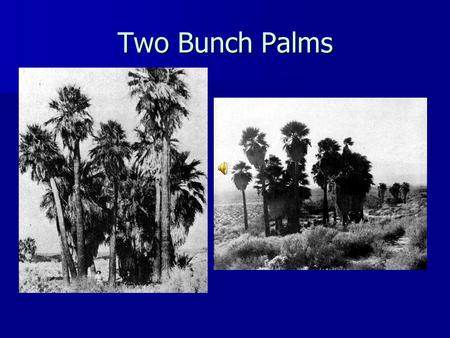 Two Bunch Palms. March 1939 – Who Has Seen This? The Desert Magazine.
