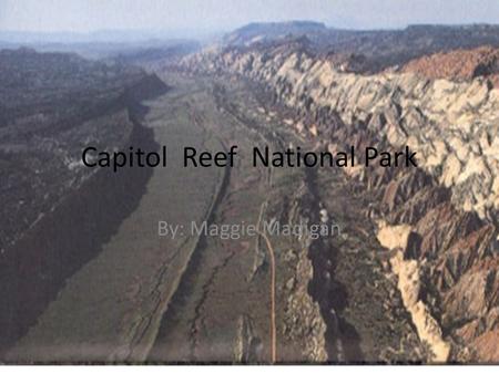 Capitol Reef National Park By: Maggie Madigan. What year did Capitol Reef become a n official National Park President Roosevelt declared Capitol Reef.