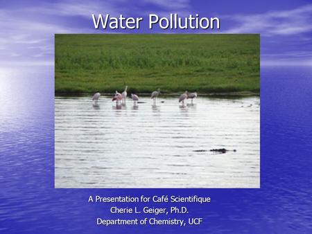 Water Pollution A Presentation for Café Scientifique Cherie L. Geiger, Ph.D. Department of Chemistry, UCF.